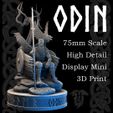 Hero-Image.jpg Odin