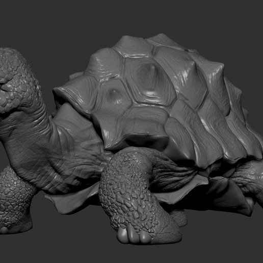 🐢 Turtle - No Presupported・ STL File for ・Cults