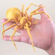 spider-make.jpg Realistic spider