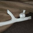 20161008_115849.jpg estremità del bastone per tende - uccello su un ramo