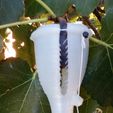 Outil-figue-3.jpg Fig pickings
