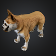 Screenshot-2025-10-19-at-5.43.42 PM.png Hyper/ultra realistic dog
