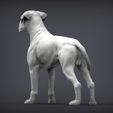 boxer6.jpg Boxer dog 3D print model