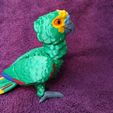 IMG_20240602_165507179.jpg Amazon Parrot Articulated Figure