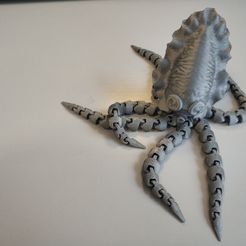 image.png Free STL file Articulated Octopus / Cuttlefish by Onasiis・3D printable object to download, onasiis