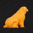 1325-Bearded_Collie_Pose_04.jpg Bearded Collie Dog 3D Print Model Pose 04