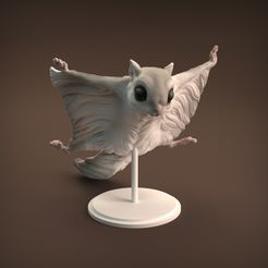 Flying_squirrel_1.jpg 3D-Datei Fliegendes Eichhörnchen・3D-druckbare Vorlage zum herunterladen, AnimalDenMiniatures