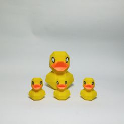 IMG_20230215_113911.jpg Duck Low Poly