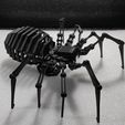 7.jpg Файл STL Шарнирный гибкий робот-паук тарантул 3D головоломка・Шаблон для загрузки и 3D-печати