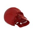 untitled.2652.jpg Skull / Death's Head