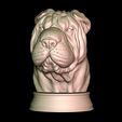 1.jpg Shar Pei Bust