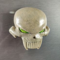 IMG_20230318_131703.jpg Spawn skull magnet