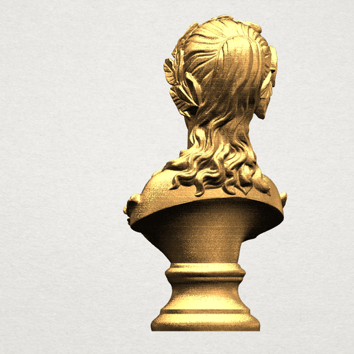 Bust of Venus 80mm - A05.png Free 3D file Bust of Venus・3D print model to download, GeorgesNikkei