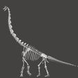 giraffatitan12.jpg Brachiosaurus / Giraffatitan complete skeleton
