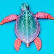 TURTLE.jpg FLEXI TURTLE
