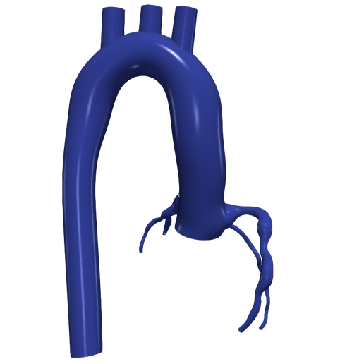 2.png 主动脉和冠状动脉 3D 模型 - 6 件装