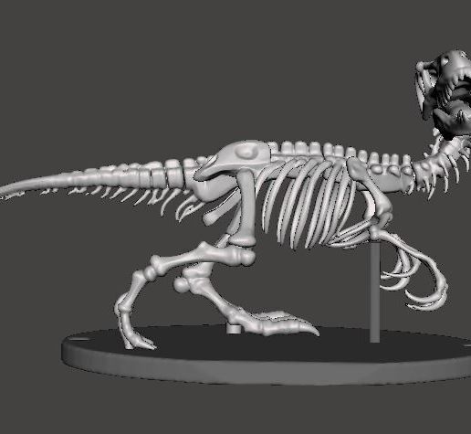 teropodo-3.jpg Skelett eines Theropoden