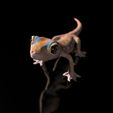 Pachydactylus-Rangei_BodenDark1.jpg Namib Gecko -Pachydactylus rangaii-with full size texture + Zbrush Originals-STL 3D Print File-High Polygon