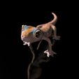Pachydactylus-Rangei_BodenDark1.jpg Namib Gecko -Pachydactylus rangaii-mit Full-Size-Textur + Zbrush Originale-STL-3D-Druck-Datei-High-Polygon