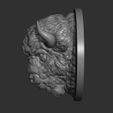 4.jpg Bison angry head
