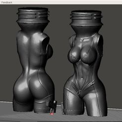 Sexy-Bottle-88.jpg Archivo 3MF SEXY BOTTLE -6・Objeto imprimible en 3D para descargar