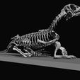20.jpg BABY MUSSAURUS, POSE 3, FOR SCALE 1:1 PART 1 OF 3