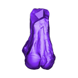 Femur_Left_Part_03.OBJ OBJ file Life size baby T-rex skeleton - Part 03/10・3D printing model to download