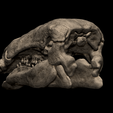 7.png Edmontonia Skull