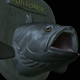 White-grouper-head-trophy-22.png fish head trophy white grouper / Epinephelus aeneus open mouth statue detailed texture for 3d printing