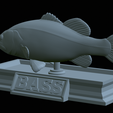 Bass-statue-34.png fish Largemouth Bass / Micropterus salmoides statue detailed texture for 3d printing