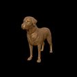 26.jpg Labrador Retriever model 3D print model