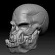 3.png Orc Skull - Orc Skull
