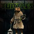 SPLINTER_02.jpg Splinter TMNT Teenage Mutant Ninja Turtles