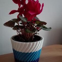IMG_20180311_162738.jpg Simple twisted flower pot