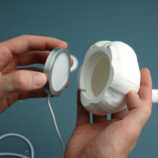 0_4.jpg Luz nocturna de ajo