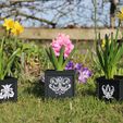 IMG_3703.jpg Gothic Style Plant Pots