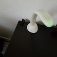20180501_185410_1.jpg Custom Design Desk Lamp