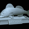 zander-statue-4-mouth-open-29.png fish zander / pikeperch / Sander lucioperca open mouth statue detailed texture for 3d printing