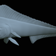 mahi-mahi-mouth-statue-42.png fish mahi mahi / common dolphin fish open mouth statue detailed texture for 3d printing