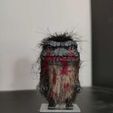 118047994_3190054661109188_5150520629214486712_o.jpg Critters