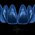 preview.png JP Natural Shape Design Library Teeth - EXOCAD