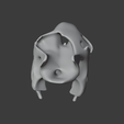 Aldabra-Tortoise-Skull_front.png Aldabra Tortoise Skull