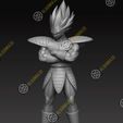 Vegeta7.jpg Vegeta (classic armor)