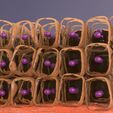 1708.jpg adaptation epithelial cell changes normal to cancer Low-poly 3D model