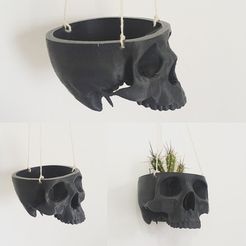 ccf0f810c04bdbf177e3621e83f9ff9d_preview_featured.jpg Skull Bowl Remix into Skull Hanging Planter / Pot