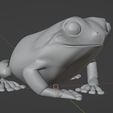 Capture1.jpg Whites Tree Frog