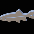 Common-rudd-keychain-2d-3.png common rudd fish 2d keychain / pendant