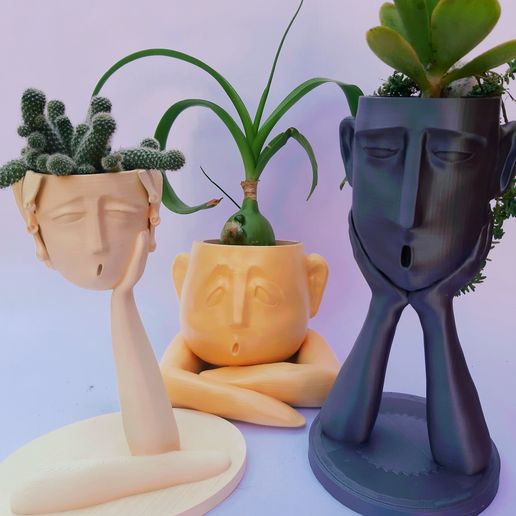 planter discord - 3D model önizlemesi