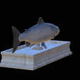 Salmon-statue-13.png Atlantic salmon / salmo salar / losos obecný fish statue detailed texture for 3d printing