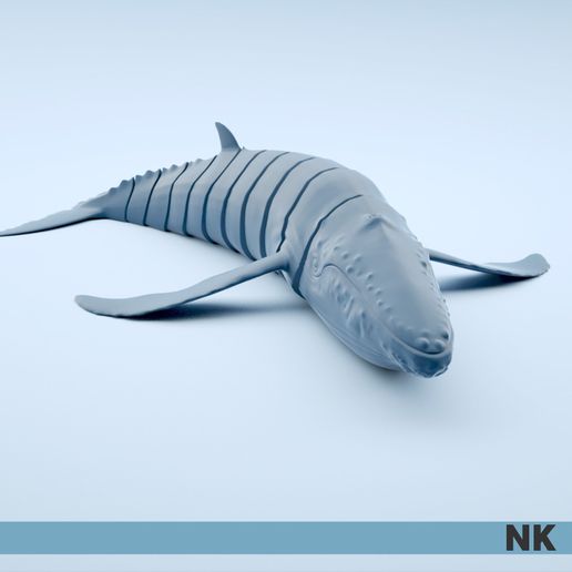 Humpback_Whale_04.jpg ГИБКИЕ ШАРНИРНЫЕ КИТЫ